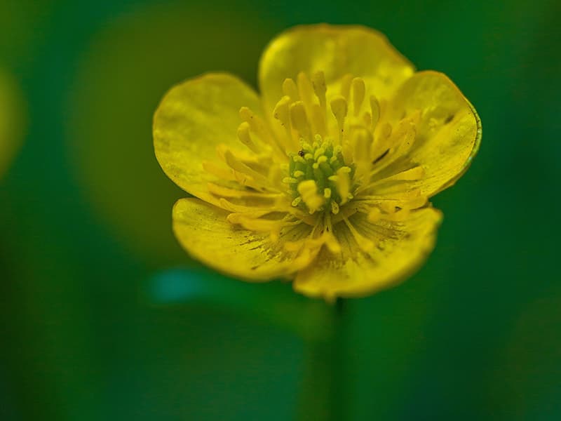 Scientific photography