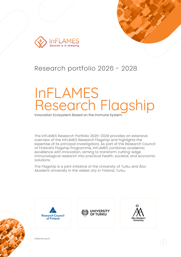 InFLAMES Research Portfolio